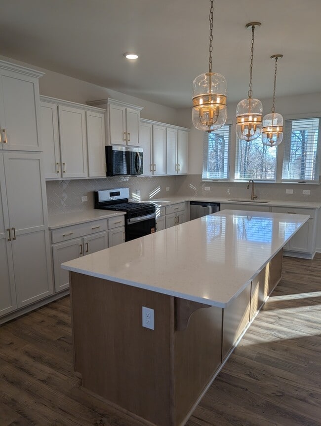 Building Photo - Brand New 4 BD Home in Stonebridge Fairways- Available NOW!