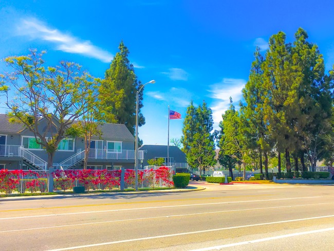 Street View - Mountain View Apartments