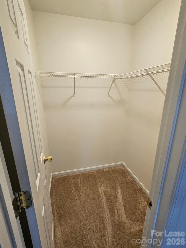 Building Photo - 2016 Cindy Creek Ln