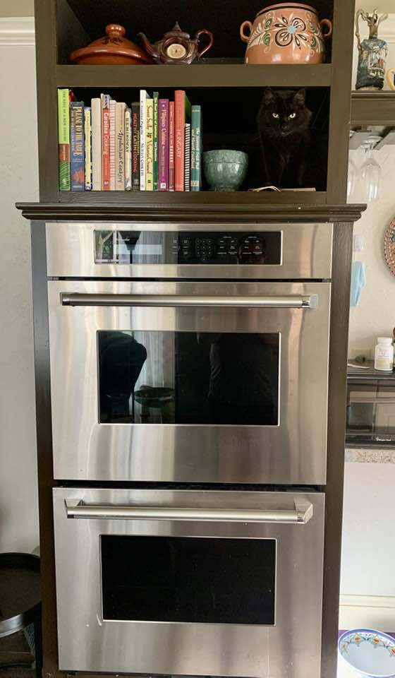 Building Photo - 49 Duke St