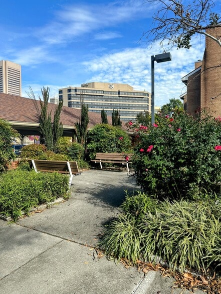 Private courtyard/Skyline view - 423 S Sharp St