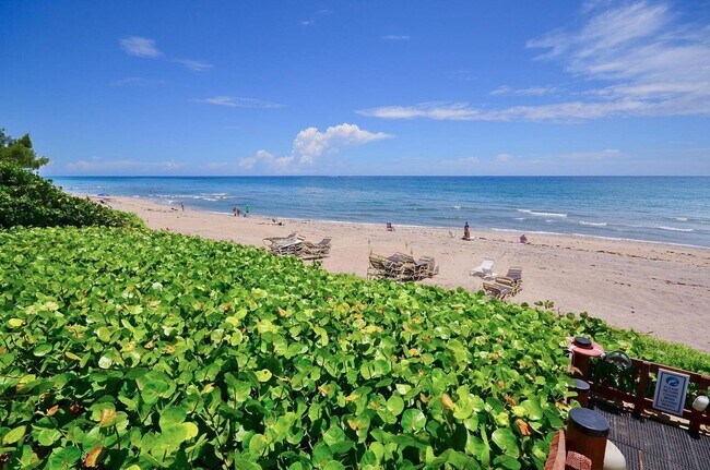 Primary Photo - 3400 S Ocean Blvd