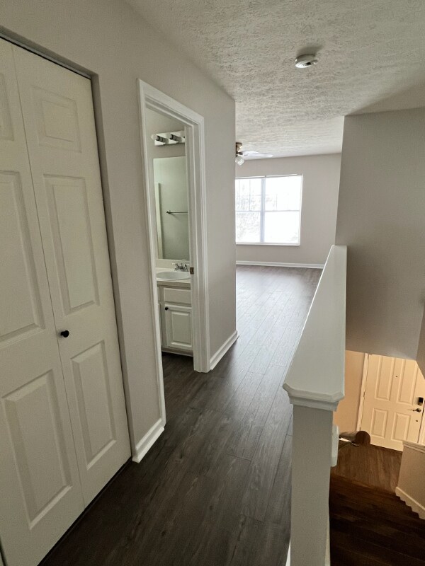 Building Photo - 2809 Summer Hollow Ln