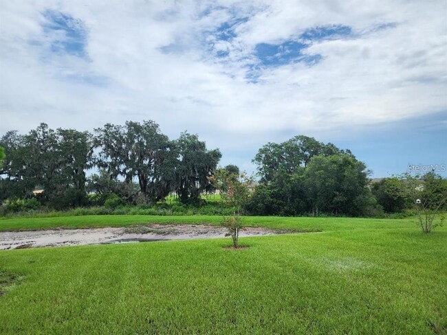 Building Photo - 35215 Daisy Meadow Loop