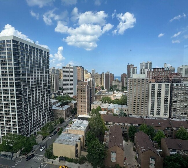 Building Photo - 1360 N Sandburg Terrace