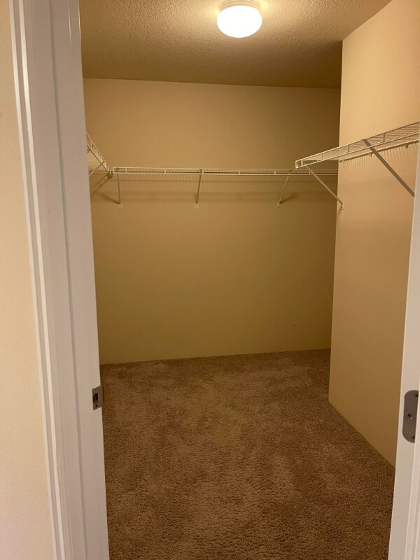 Building Photo - 11317 NE 116th Ct