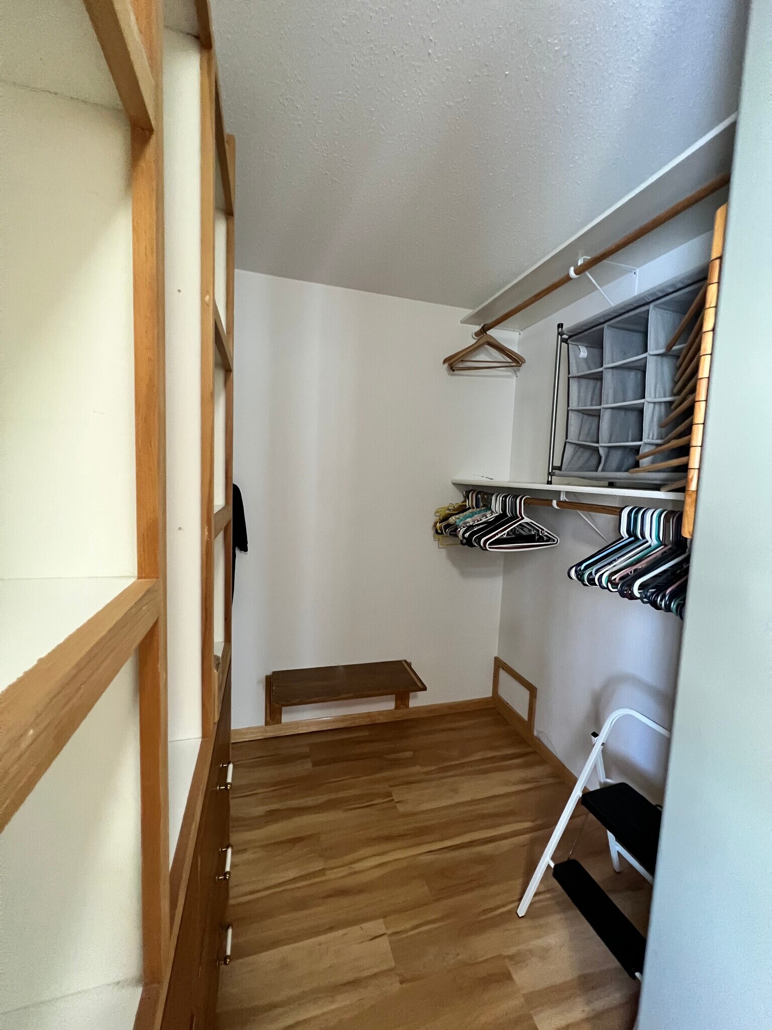 Owners, Walk in closet - 38079 Dead Lake Rd