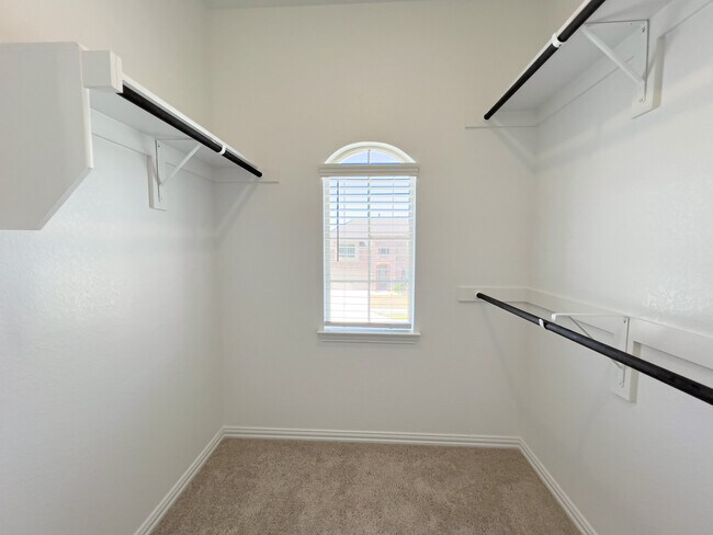Building Photo - 2533 Olvera Ct