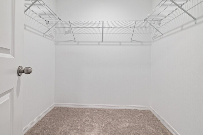 Building Photo - "Charming 3-Bed Sanctuary in Lutz with gre...