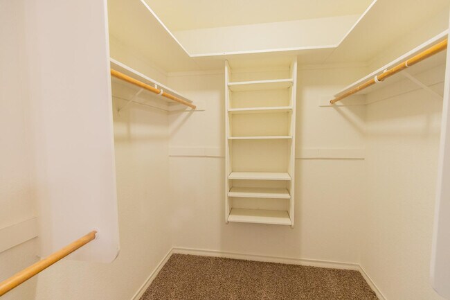 Building Photo - 2908 E Avenida Olivos