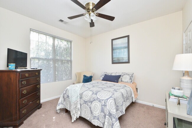 Building Photo - 2537 Sun Seeker Ct