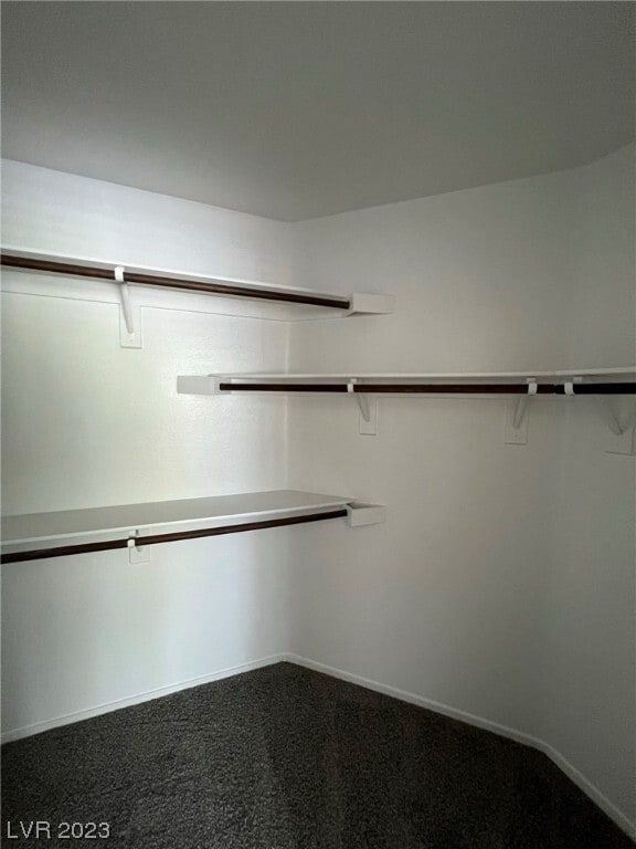 Building Photo - 7933 Avalon Valley Ct