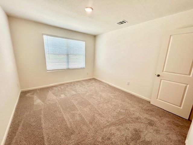Building Photo - 4509 Firewheel Dr