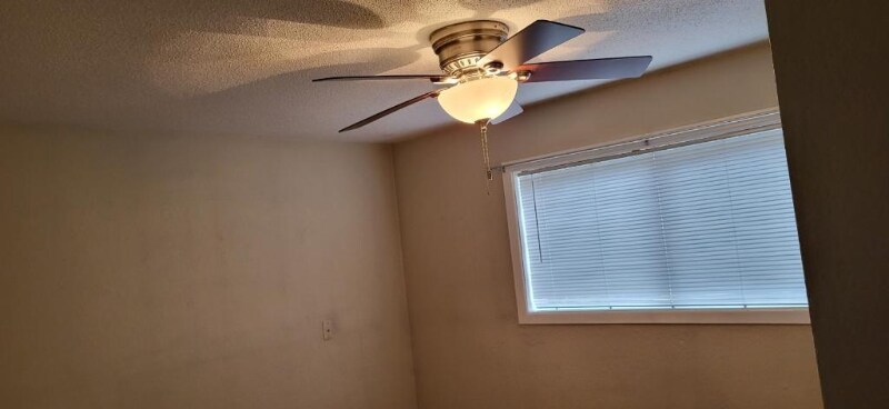 Building Photo - 805-1/2 4th Ave NE