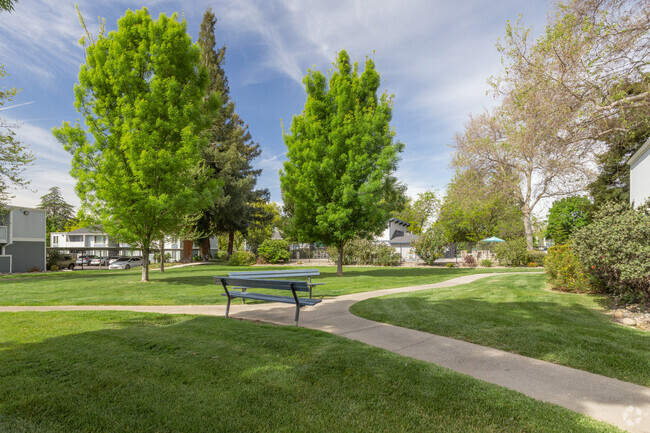 Courtyard - Glenbrook Apartments