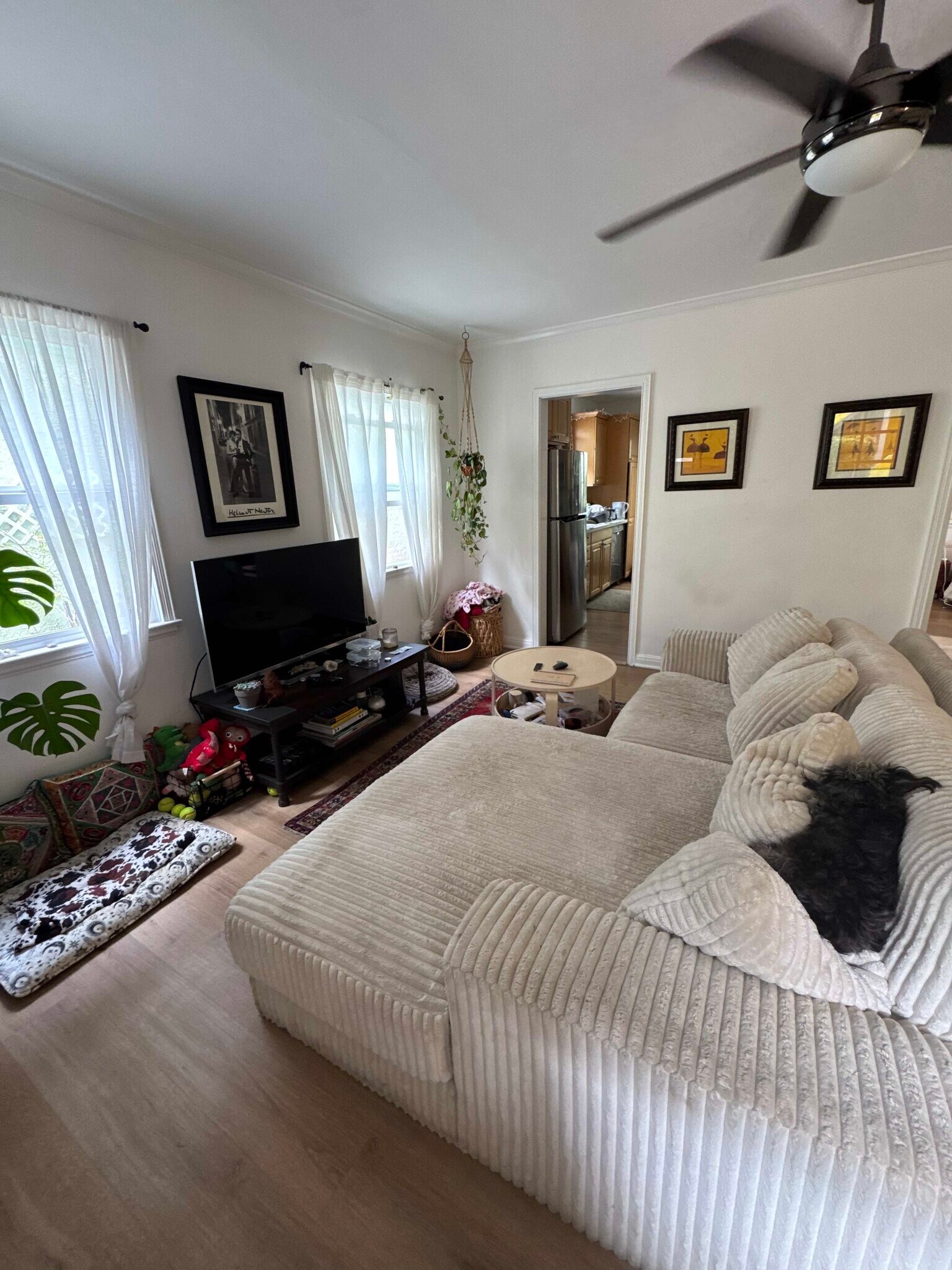 living room - 835 Pacific St