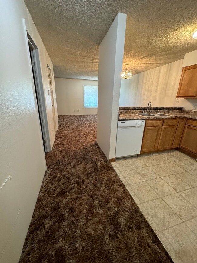 Building Photo - Great Studio Condo