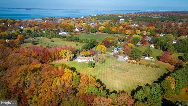 Building Photo - 105 King George Ct