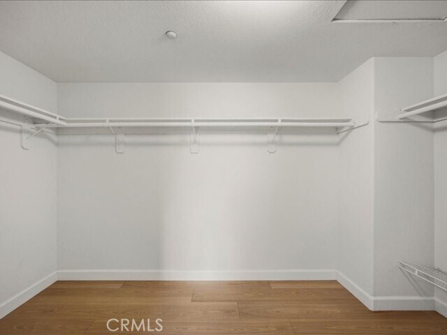 Building Photo - 5142 Cellini Dr