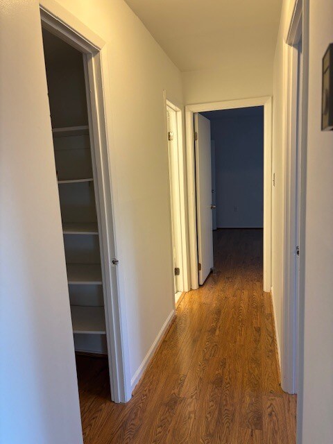 Building Photo - 12307 Braxfield Ct