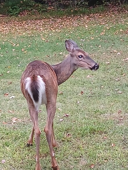Building Photo - 283 Muthig Rd