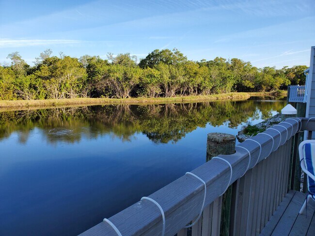 Building Photo - 1258 Spoonbill Landings Cir