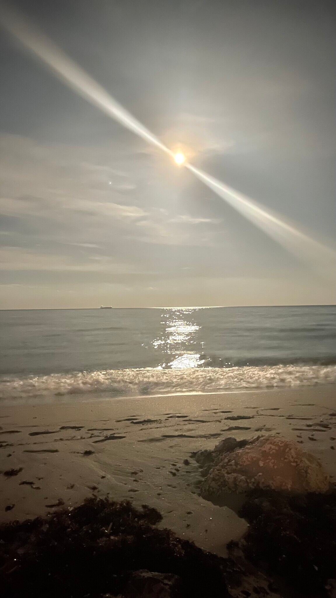 Building Photo - 3700 Galt Ocean Dr