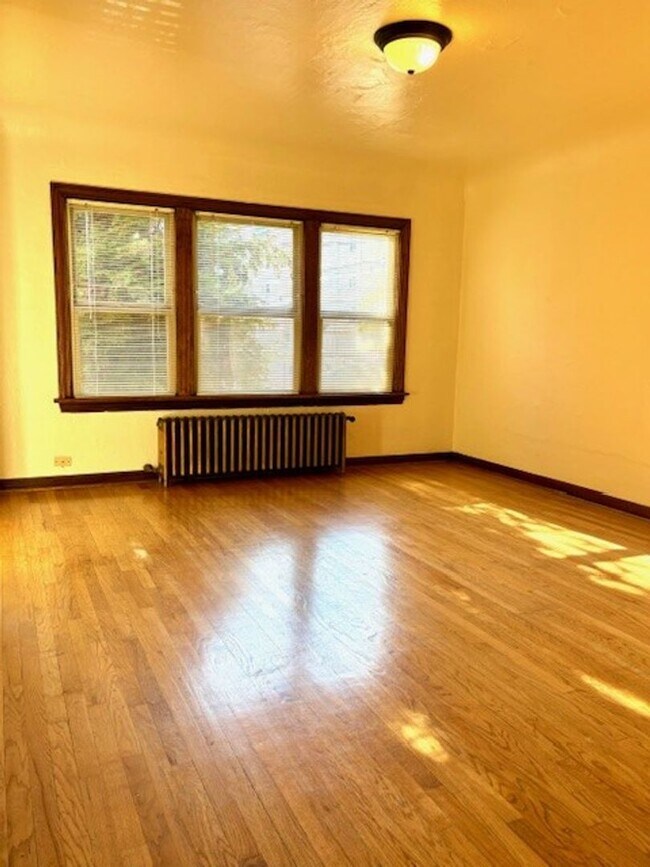 Interior Photo - Catalina Apartments