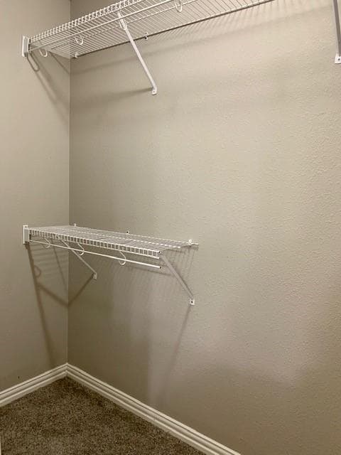 Building Photo - 565 Oakwoods Dr