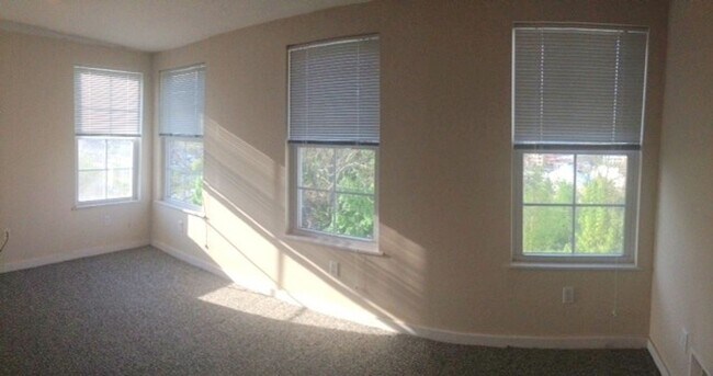 Building Photo - Southside Slopes - Amazing views of Downtown - Off-street parking