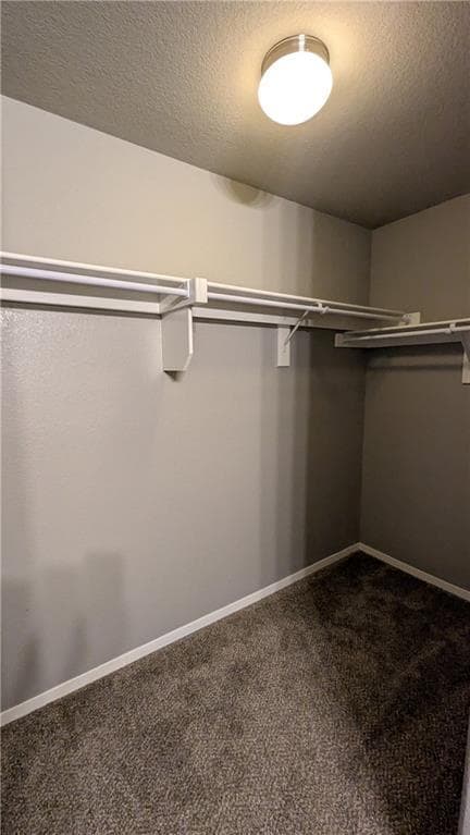 Building Photo - 223 E Anabranch Ct