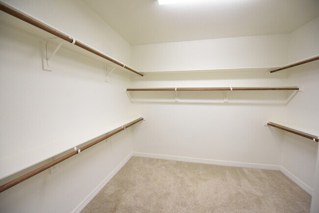 Building Photo - Beautiful 3-Story Lakewood Townhome!