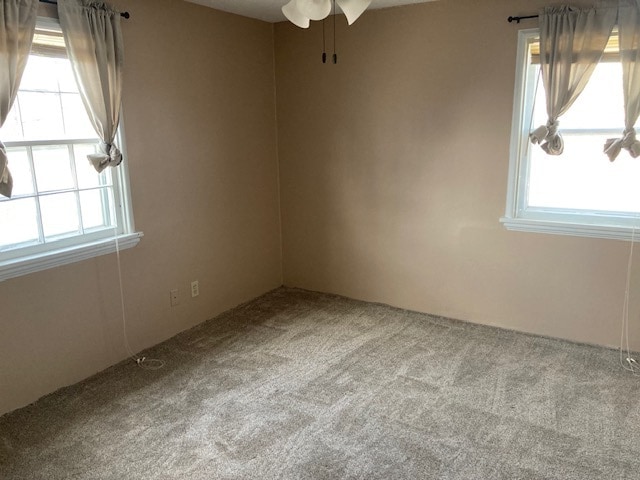 Building Photo - 3016 8th Ave