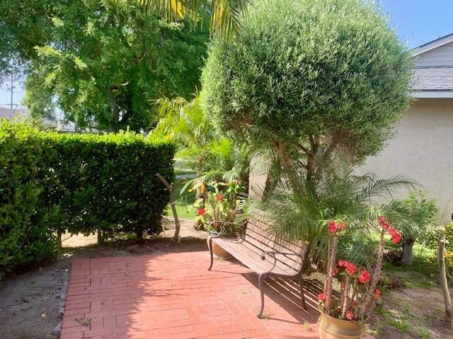 Building Photo - 2026 Petaluma Ave