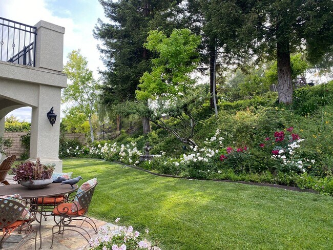 Building Photo - Private Courtyard Entry & Expansive Backyard Oasis