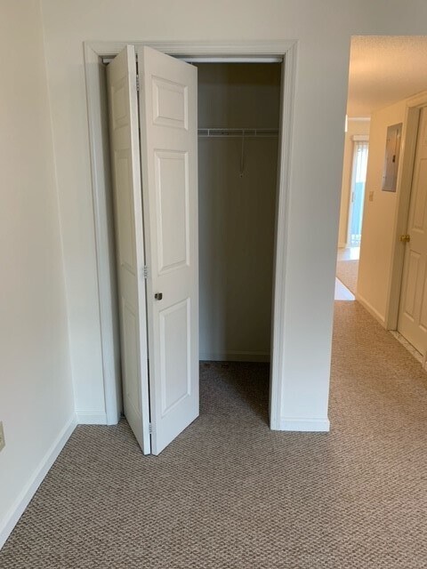 Living Area Closet - 5 Mruck St