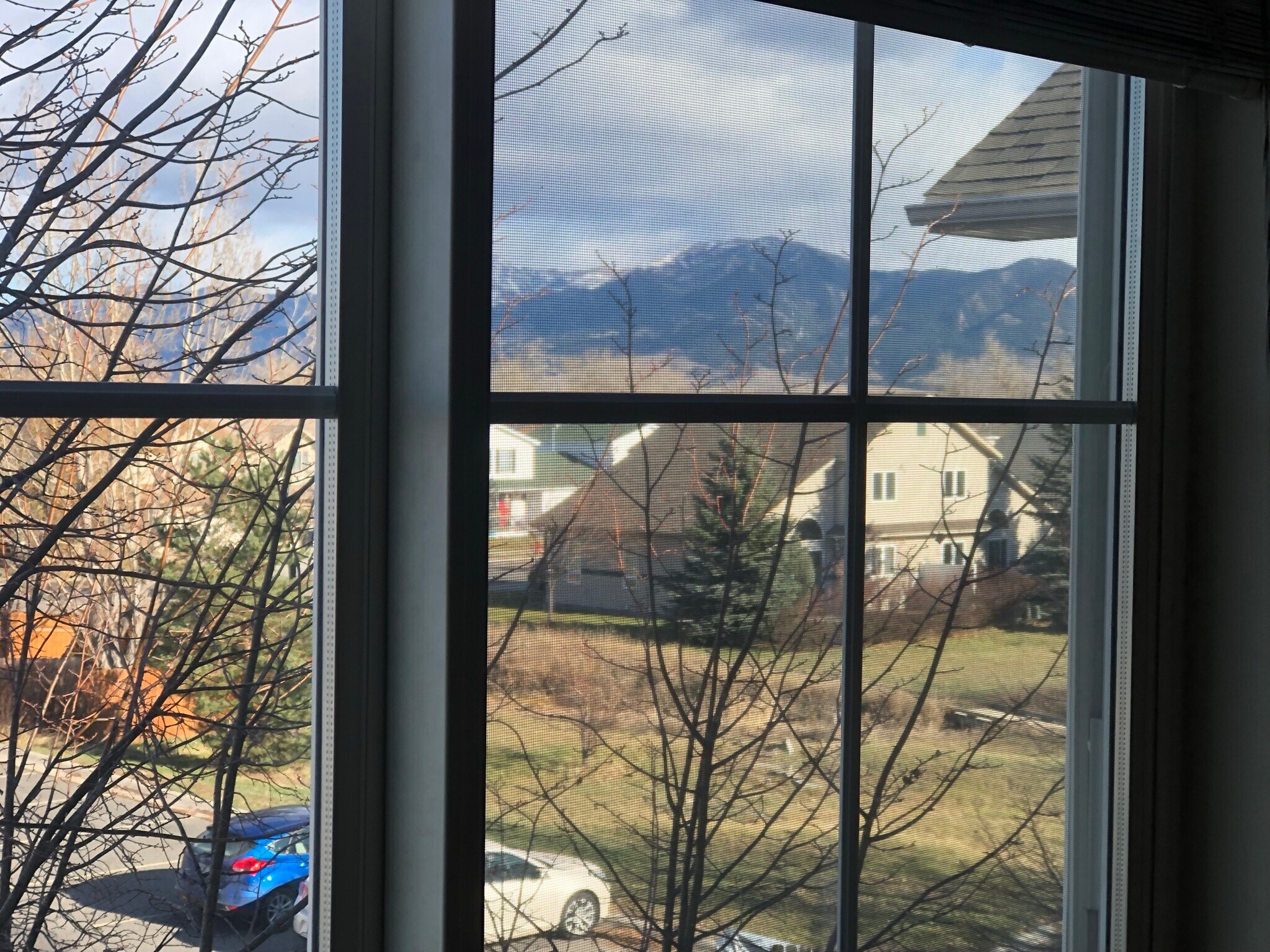 view from main bedroom - 3505 Fallon St