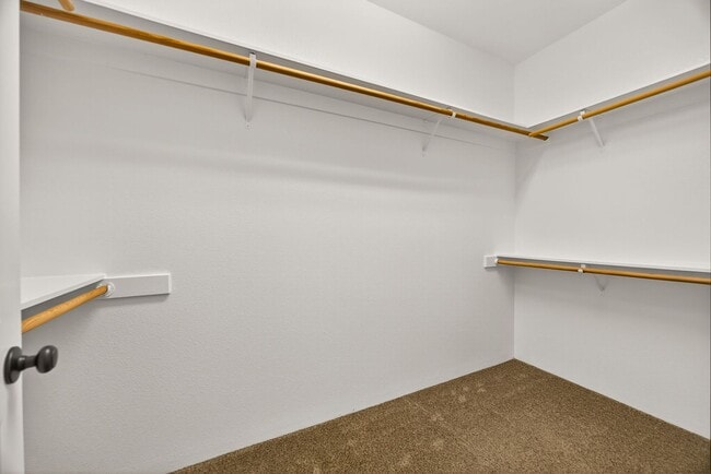 Building Photo - 2638 Rabun Way