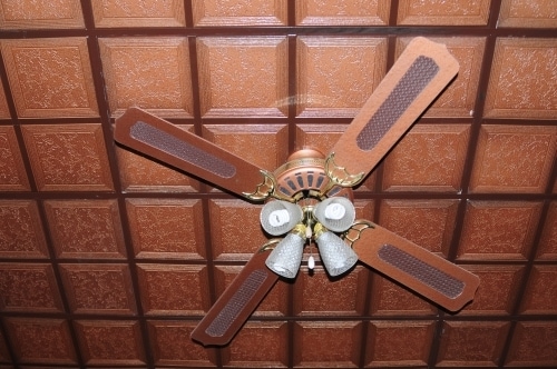 Building Photo - 41 Sylvia Ave