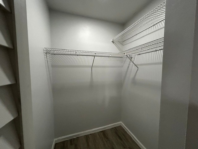 Building Photo - 4709 Marengo Ln