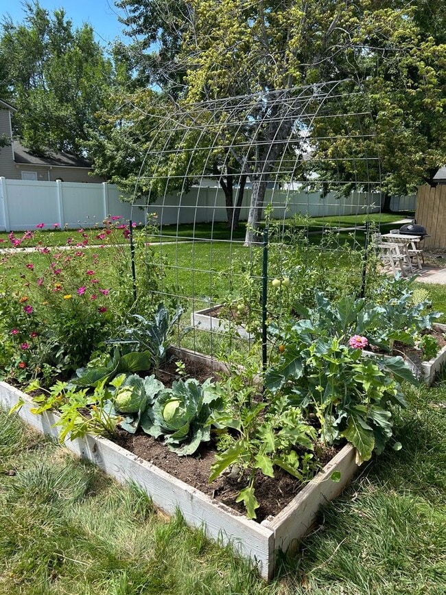 Building Photo - Utilities & Internet Included! 4 Bed 2.5 B...