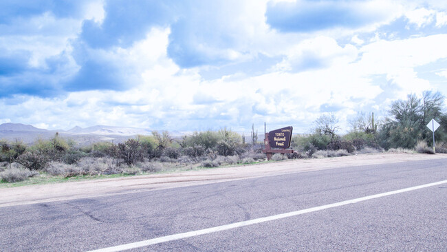 Building Photo - 4Bed/2Bath House in Rio Verde! $199 MOVE-I...