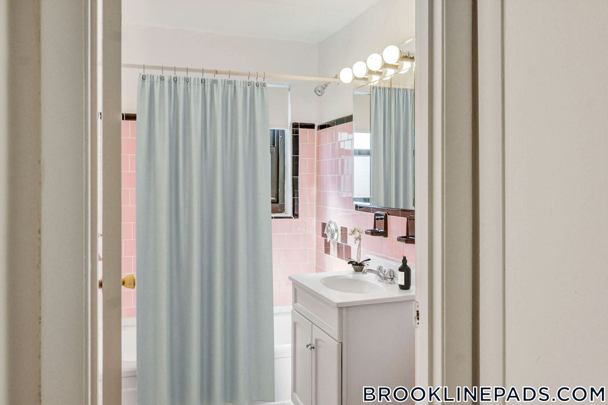 Building Photo - 40 Harvard St