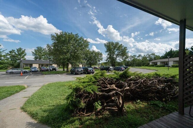 Building Photo - 2533 Bradford Ct