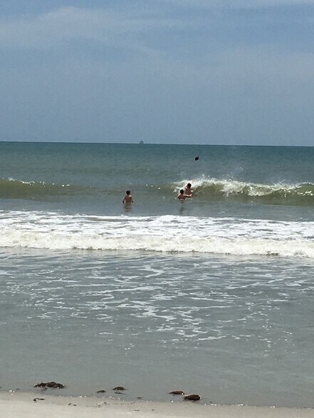 Year round beaches - 300 Monroe Ave