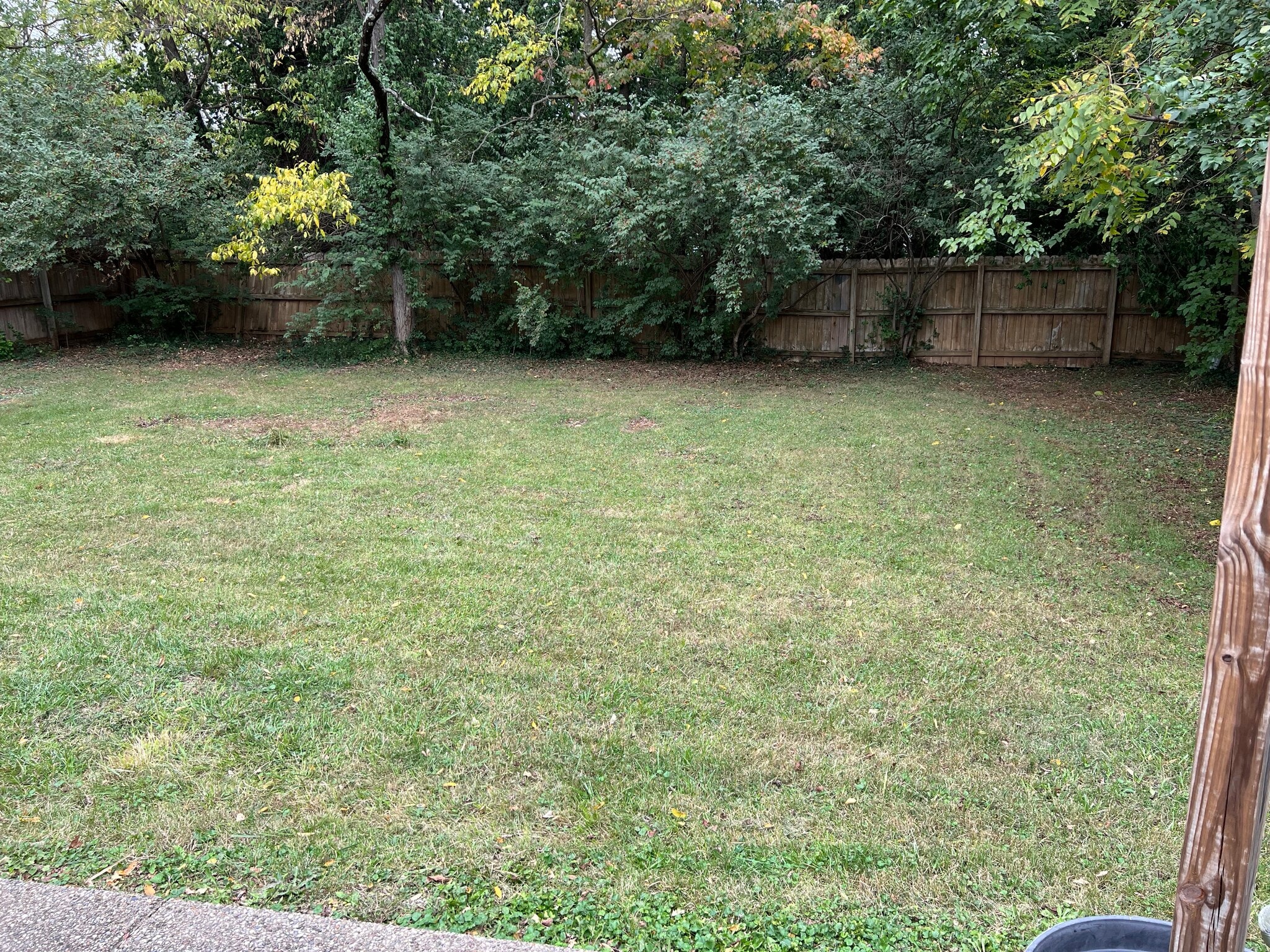 Fenced in backyard - 11407 Deham Dr