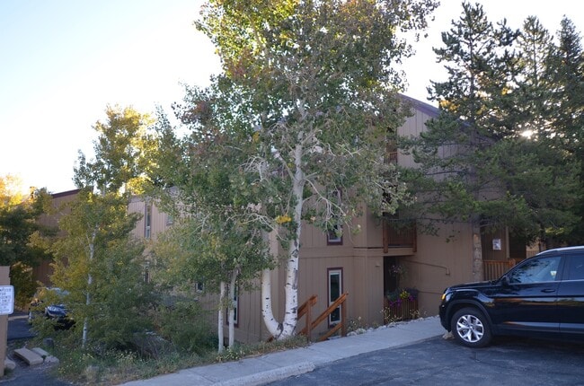 Building Photo - Long Winter Lease!  Fully Furnished, on bu...