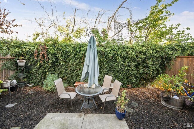 Building Photo - 1507 Pinebrook Pl