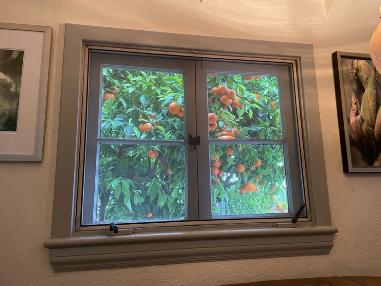 Building Photo - 8301 Marmont Ln