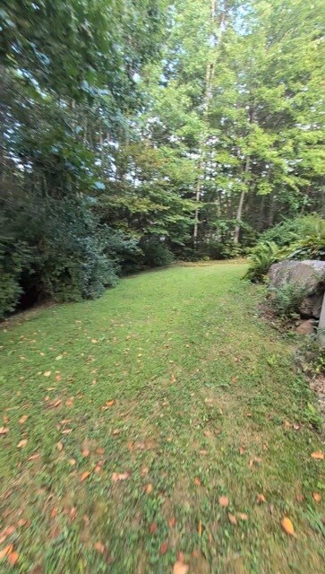 Yard - 5 Pine Crest Cir